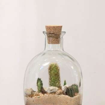 Desert in a Bottle