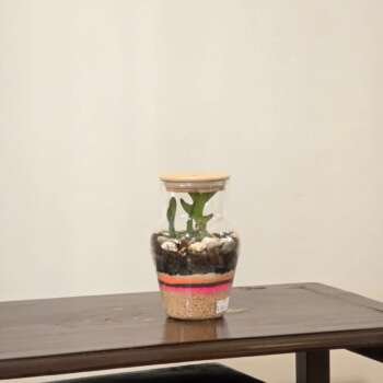 Miniature Nature